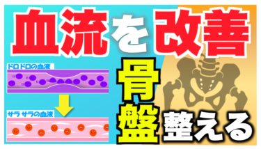 【冷え性改善にも効果抜群】全身の血流をアップし身体の土台を整える『骨盤エクササイズ』